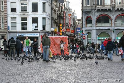 bh_europe_2006_193.jpg