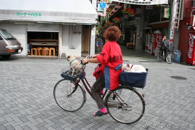 bh_asia_2006_136.jpg