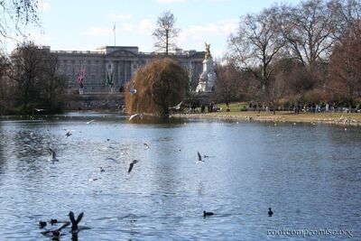 london_2006_026.jpg