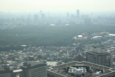 bh_tokyo_2007_021.jpg