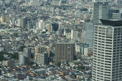 bh_tokyo_2007_024.jpg