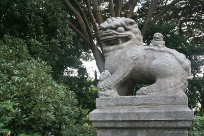 bh_tokyo_2007_081.jpg