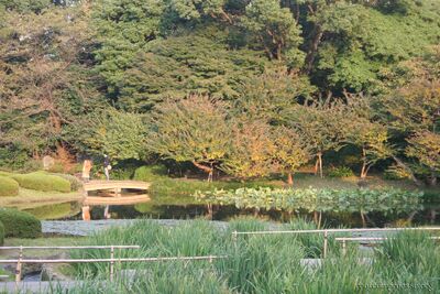 bh_tokyo_2007_111.jpg