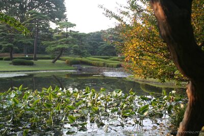 bh_tokyo_2007_114.jpg