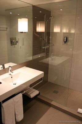 The Shower