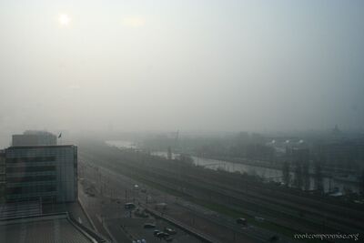 The fog.