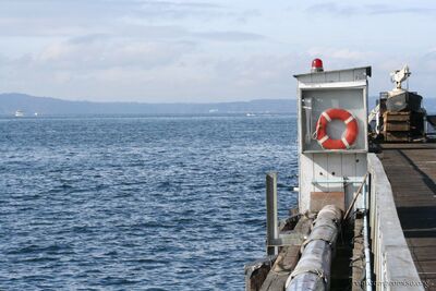 bh_seattle_2005_002.jpg