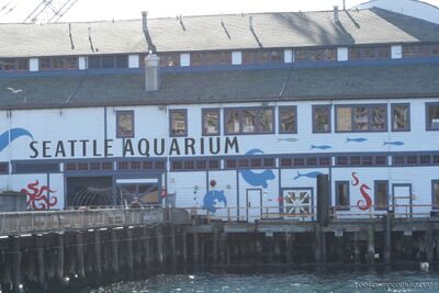 bh_seattle_2005_003.jpg