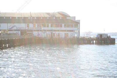 bh_seattle_2005_006.jpg