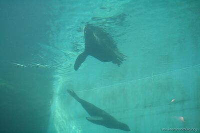 bh_seattle_2005_017.jpg