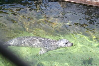 bh_seattle_2005_018.jpg