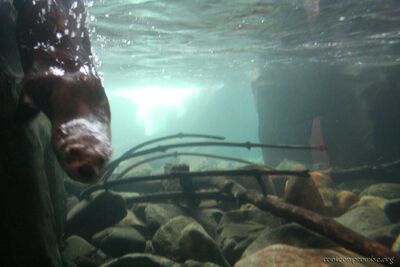 bh_seattle_2005_019.jpg