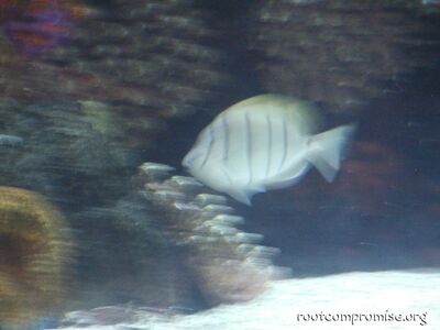 DC12_121.jpg