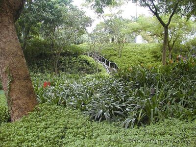Very green.
