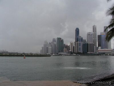 The city in the rain.