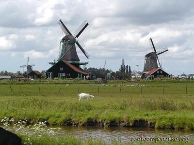 Old School Dutch Windmills.