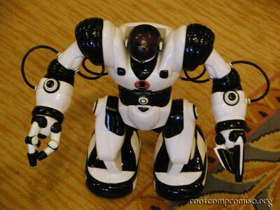 My Robosapien.
