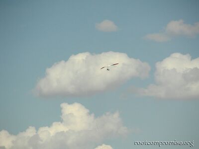 Hang glider.