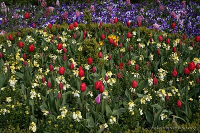 ireland_2005_115.jpg