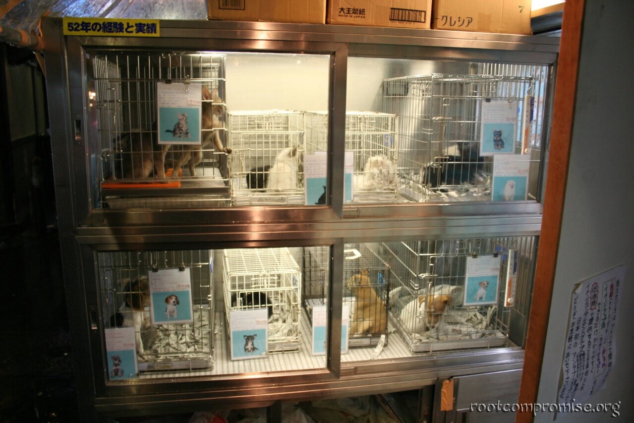 bh_asia_2006_198.jpg