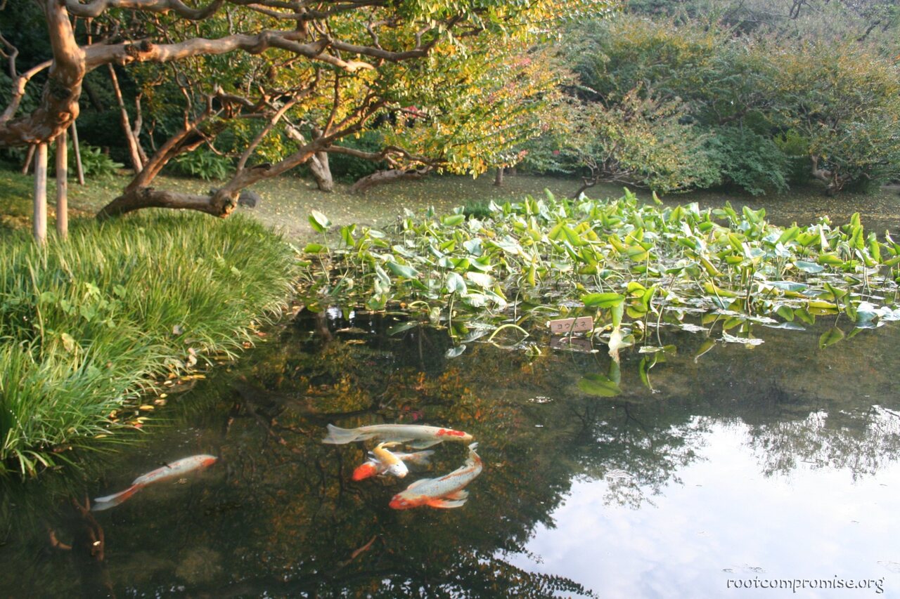 bh_tokyo_2007_115.jpg