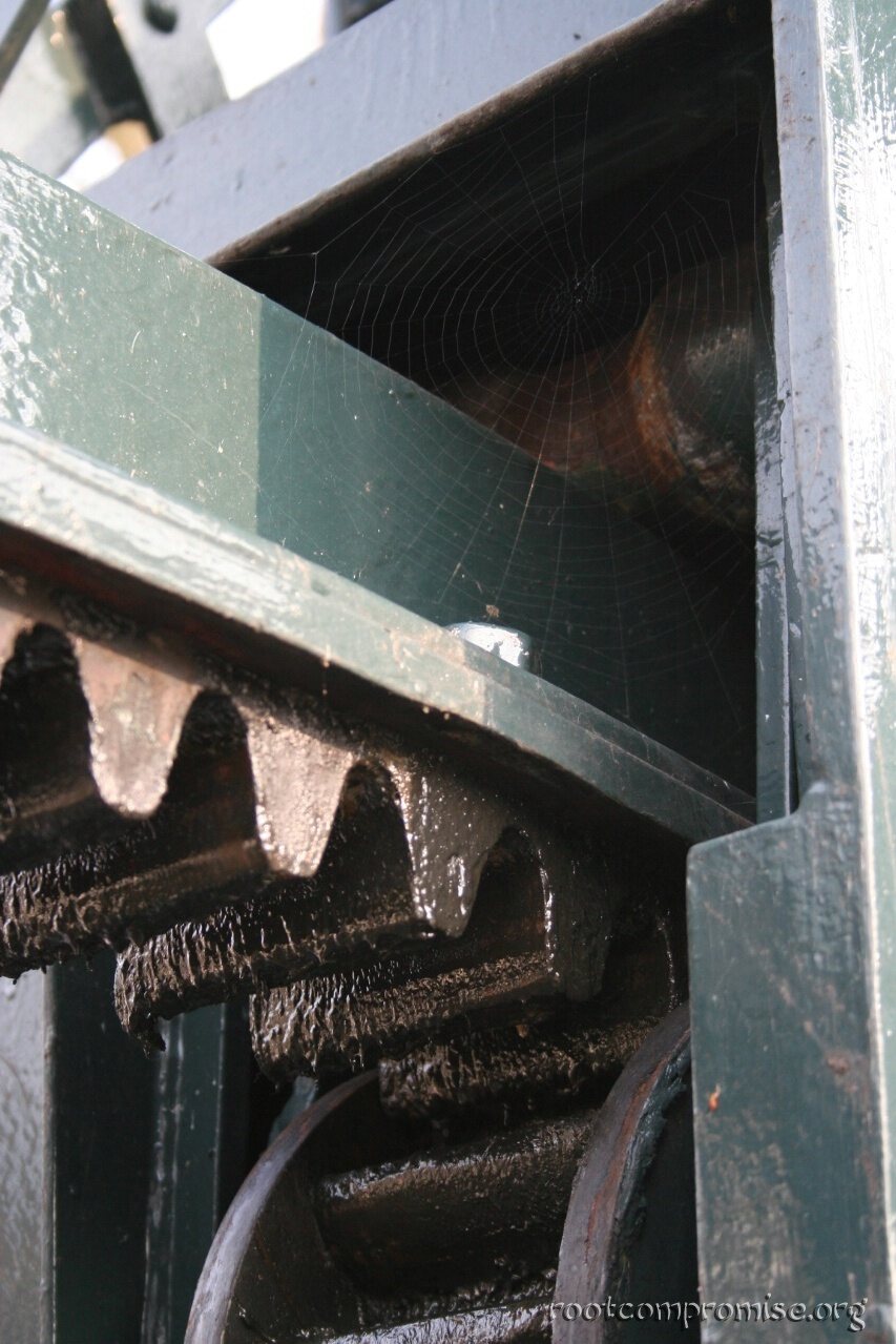 Spider Web.